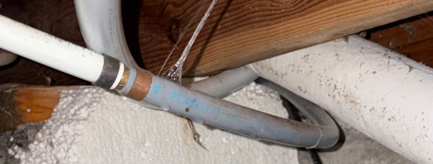 What Should You Do If a Water Line Bursts in Your Home? 1 Burst Poly-B pipe leaking water inside a home